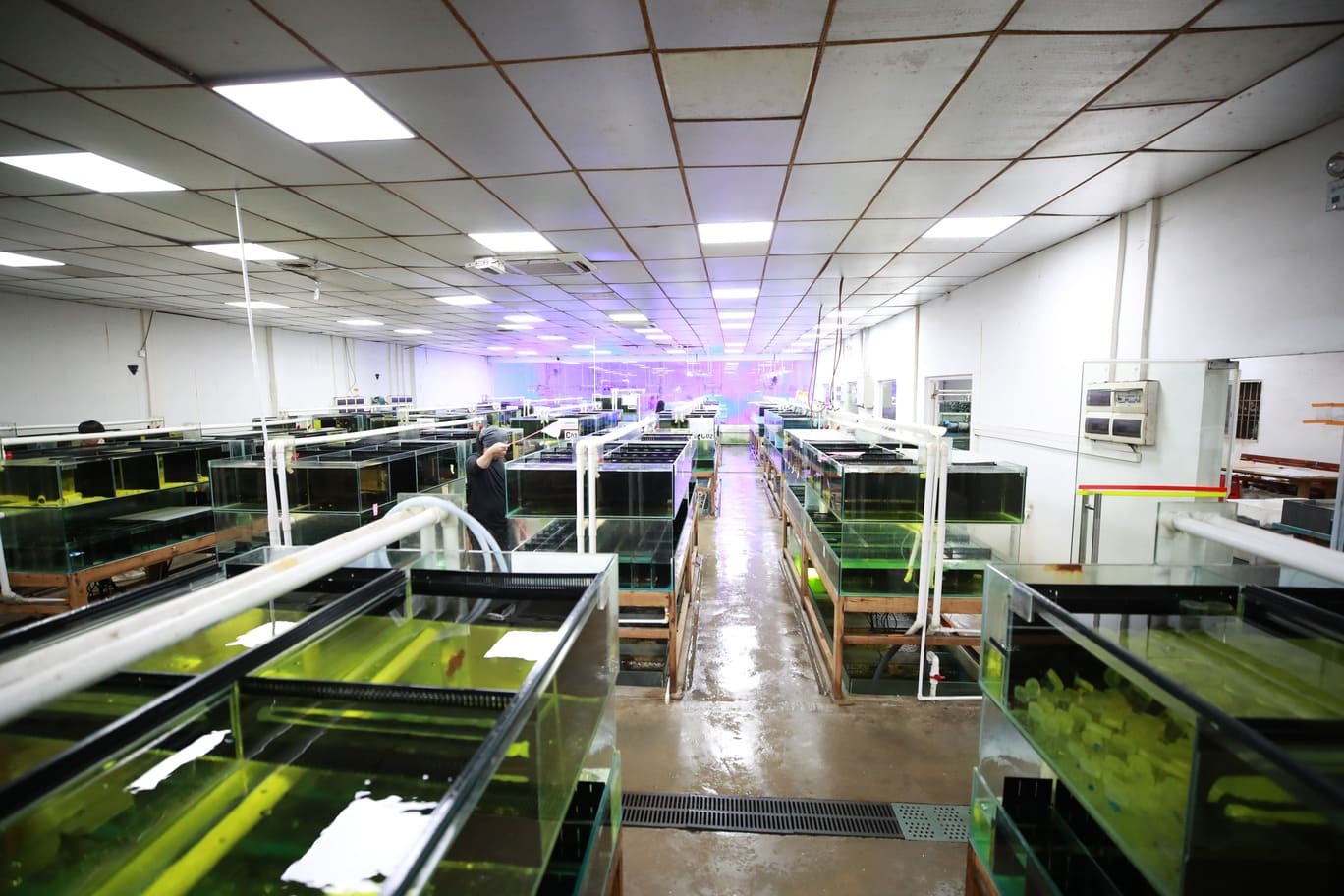 Lanhai Guangzhou Branch Fishery