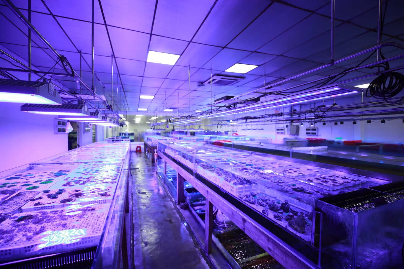 Lanhai Guangzhou Branch Fishery(2)