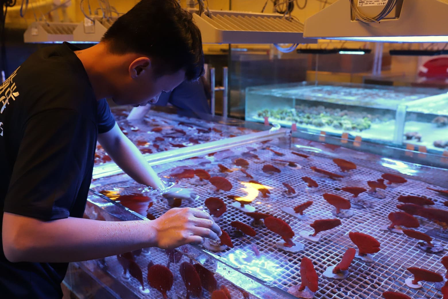 Lanhai Guangzhou Branch Fishery(3)